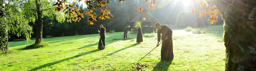 buddhasweg_sonne_fruehling_1