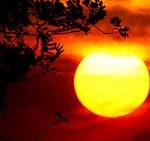 sonne